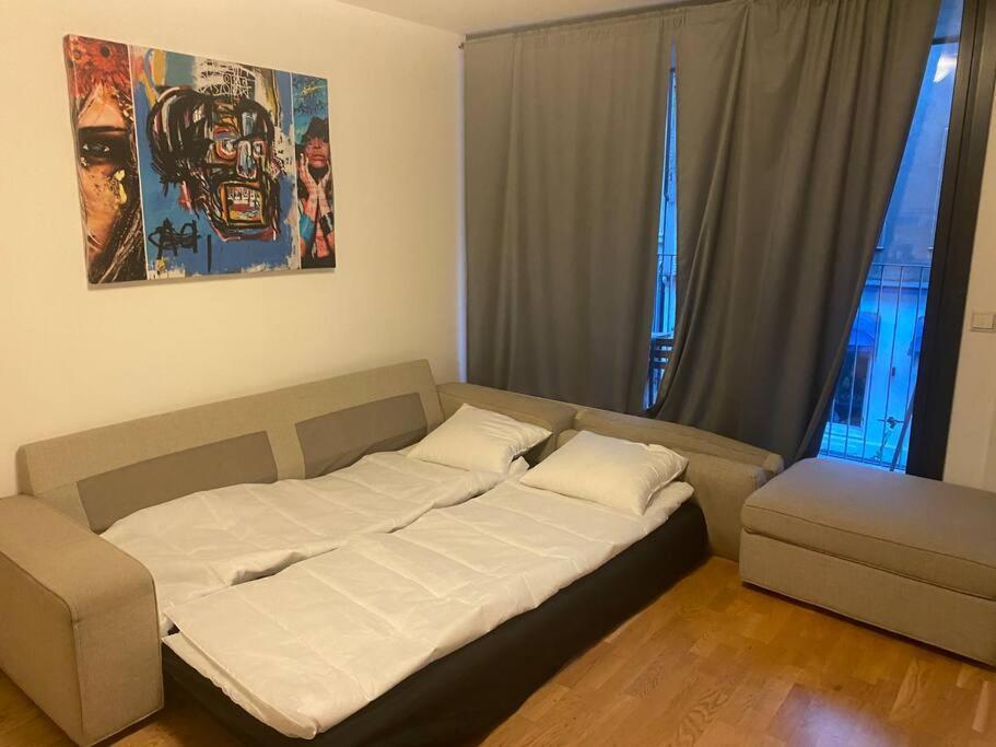Leilighet Midt I Oslo Sentrum 2 Soverom Og Stue Buitenkant foto
